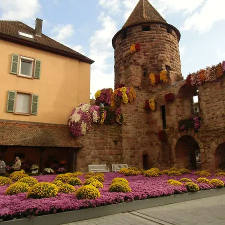 Ferienwohnung Keil Lahr/Schwarzwald Extérieur photo